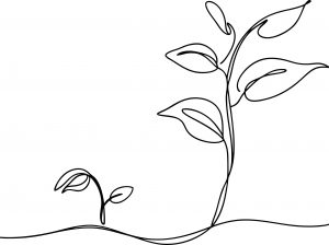 Black line drawing of new plants growing. Metaphor.